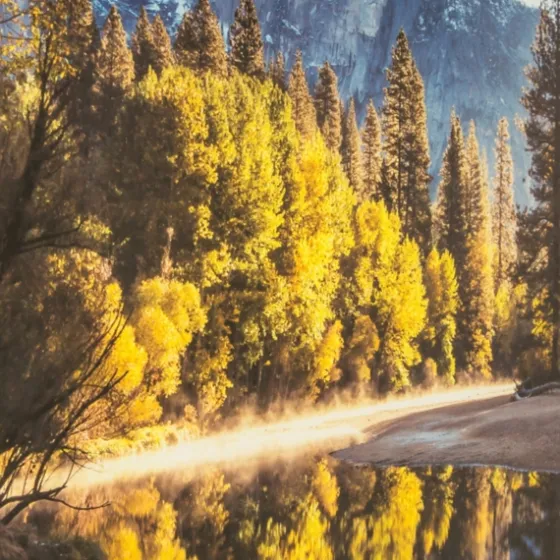 Morning In Paradise Glass Art Print-Kirkland's Home Shop