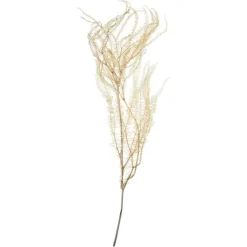 Natural Bleached Andares Fern Stems, Set Of 9-Kirkland's Home Online