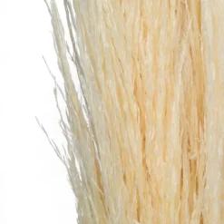 Natural Bleached Pampas Grass Stems, Set Of 6-Kirkland's Home Best Sale