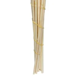 Natural Bleached Pampas Grass Stems, Set Of 6-Kirkland's Home Best Sale