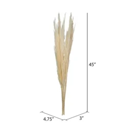 Natural Bleached Pampas Grass Stems, Set Of 6-Kirkland's Home Best Sale