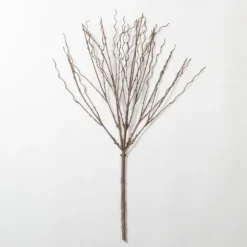 Natural Branch Stem-Kirkland's Home Store