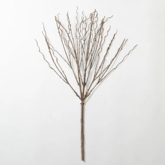 Natural Branch Stem-Kirkland's Home Store