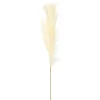 Natural Cream Pampas Grass Stems, Set Of 4-Kirkland's Home Shop