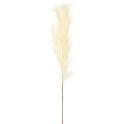 Natural Cream Pampas Grass Stems, Set Of 4-Kirkland's Home Shop