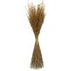 Natural Dried Princess Grass Bundles, Set Of 3-Kirkland's Home Sale