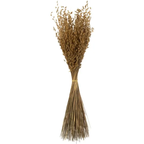 Natural Dried Princess Grass Bundles, Set Of 3-Kirkland's Home Sale