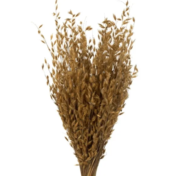 Natural Dried Princess Grass Bundles, Set Of 3-Kirkland's Home Sale