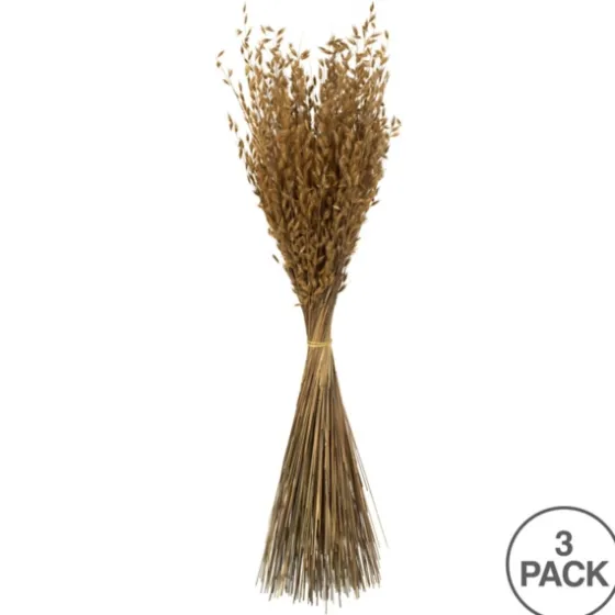 Natural Dried Princess Grass Bundles, Set Of 3-Kirkland's Home Sale