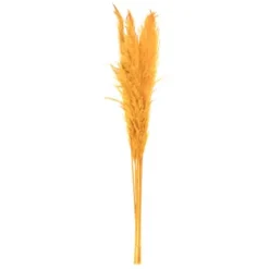 Natural En Pampas Grass Stems, Set Of 6-Kirkland's Home Best Sale