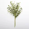 Natural Eucalyptus Bundle-Kirkland's Home Sale