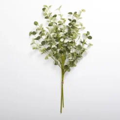 Natural Eucalyptus Bundle-Kirkland's Home Sale