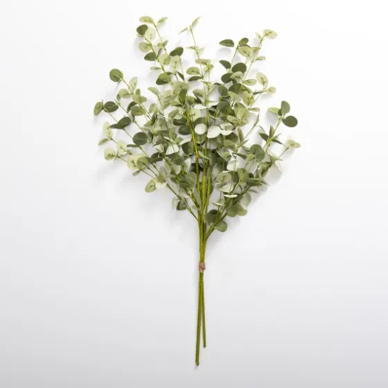 Natural Eucalyptus Bundle-Kirkland's Home Sale