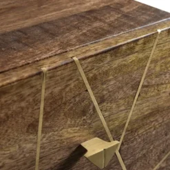 Natural Mango Wood Chest With Brass Inlay-Kirkland's Home Outlet