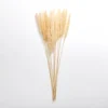 Natural Pampas Bundle-Kirkland's Home Hot