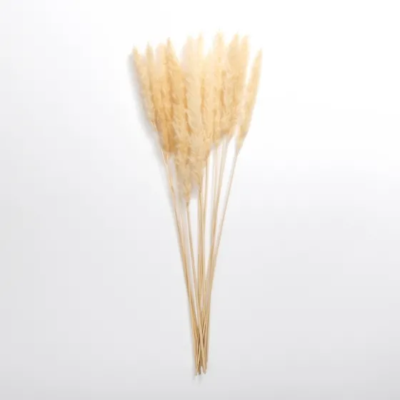 Natural Pampas Bundle-Kirkland's Home Hot