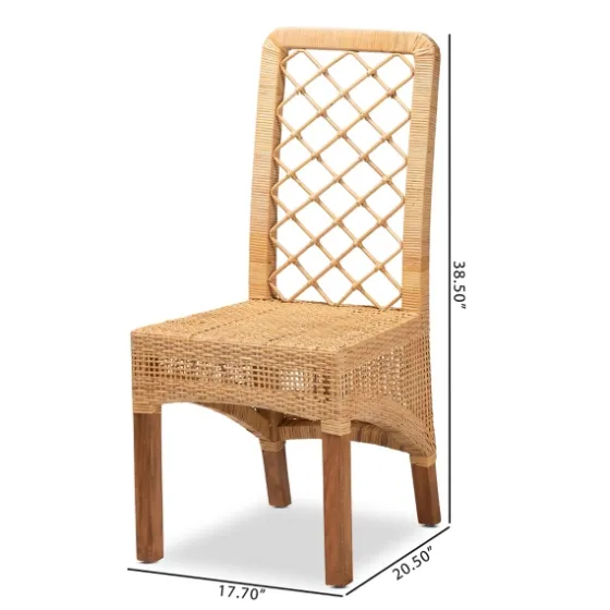 Natural Rat Woven Back Dining Chairs, Set Of 2-Kirkland's Home Shop