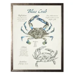 Nature Study Of A Blue Crab Framed Art Print-Kirkland's Home Flash Sale