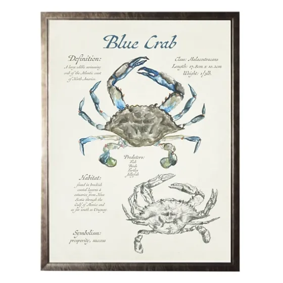 Nature Study Of A Blue Crab Framed Art Print-Kirkland's Home Flash Sale