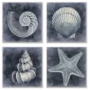 Nautical Seashells 4-Pc. Canvas Art Print Set-Kirkland's Home Discount