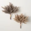 Neutral Pampas Grass Bundles, Set Of 2-Kirkland's Home Hot