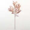 Neutral Willow Eucalyptus Stem-Kirkland's Home Cheap