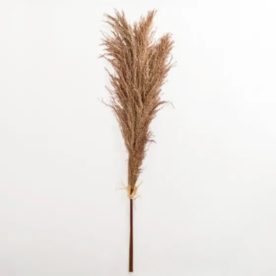 Nutmeg Pampas Grass Bundle-Kirkland's Home Best Sale