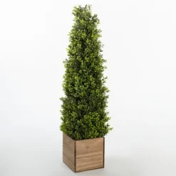Obelisk Boxwood Topiary In Wood Box, 36 In.-Kirkland's Home Best Sale