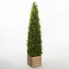 Obelisk Boxwood Topiary In Wood Box, 48 In.-Kirkland's Home Outlet