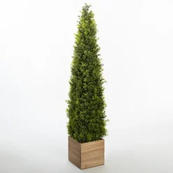 Obelisk Boxwood Topiary In Wood Box, 48 In.-Kirkland's Home Outlet
