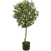 Olive Tree, 3.5 Ft.-Kirkland's Home Outlet