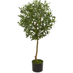 Olive Tree, 3.5 Ft.-Kirkland's Home Outlet