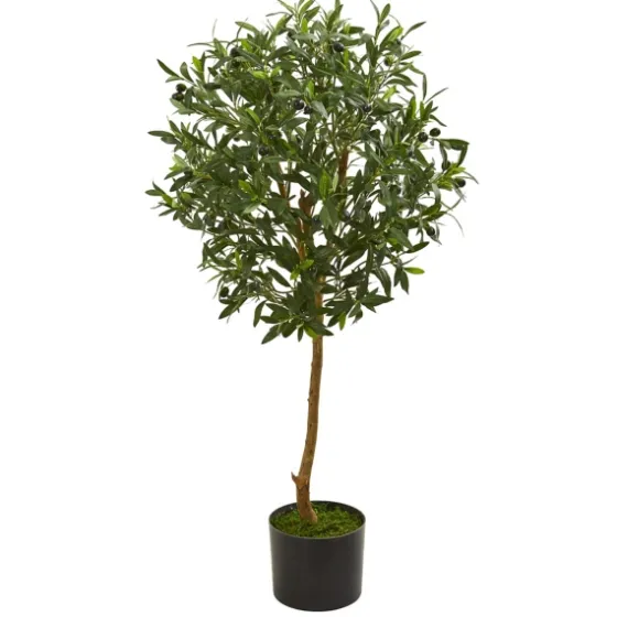 Olive Tree, 3.5 Ft.-Kirkland's Home Outlet