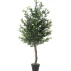 Olive Tree In Black Planter, 50 In.-Kirkland's Home Clearance