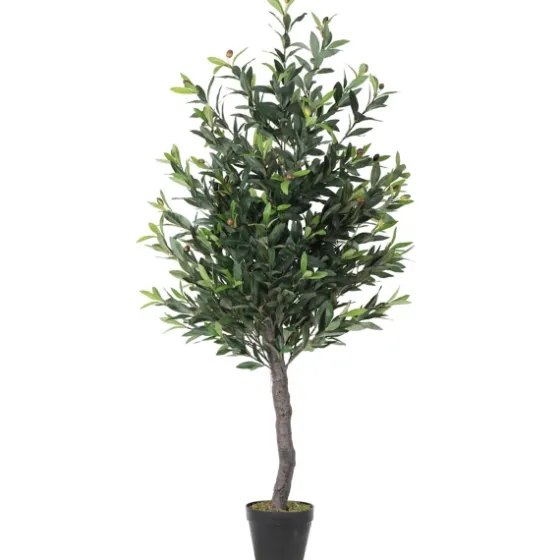 Olive Tree In Black Planter, 50 In.-Kirkland's Home Clearance