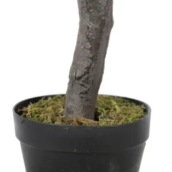 Olive Tree In Black Planter, 50 In.-Kirkland's Home Clearance