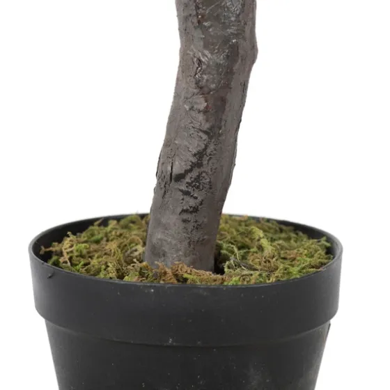 Olive Tree In Black Planter, 50 In.-Kirkland's Home Clearance