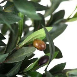 Olive Tree In Black Planter, 50 In.-Kirkland's Home Clearance