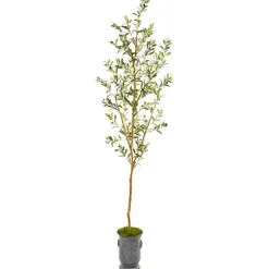 Olive Tree In Mossy Metal Planter-Kirkland's Home Fashion