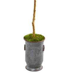 Olive Tree In Mossy Metal Planter-Kirkland's Home Fashion