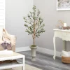 Olive Tree In Sandy Urn Planter-Kirkland's Home Store