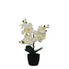 Orchid Arrangement In Black Decorative Pot-Kirkland's Home Cheap