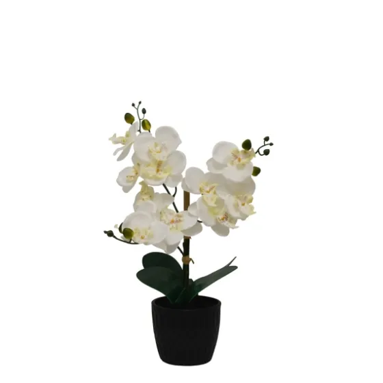 Orchid Arrangement In Black Decorative Pot-Kirkland's Home Cheap