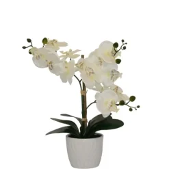 Orchid Arrangement In Decorative Pot-Kirkland's Home Sale