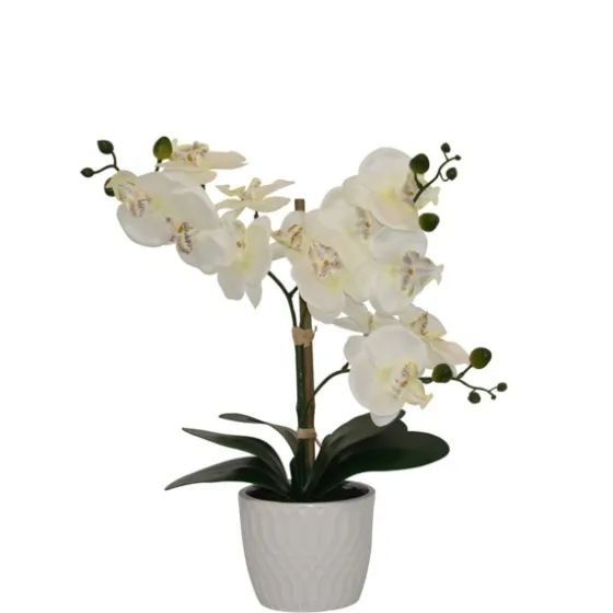 Orchid Arrangement In Decorative Pot-Kirkland's Home Sale