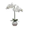 Orchid Arrangement In Floral Planter-Kirkland's Home Flash Sale