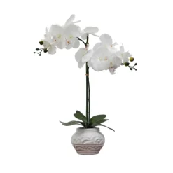 Orchid Arrangement In Floral Planter-Kirkland's Home Flash Sale