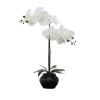 Orchid Arrangement In Floral Planter-Kirkland's Home Flash Sale