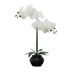 Orchid Arrangement In Floral Planter-Kirkland's Home Flash Sale