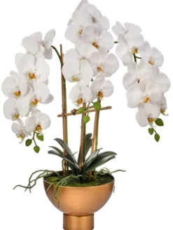 Orchid Arrangement In Gold Pot, 25 In.-Kirkland's Home Discount